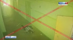 15404662869401.mp4