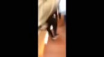 Ненависть.mp4