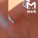 15397976954730.mp4