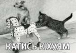 14740193762530.jpg