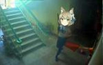 15402096997992.png