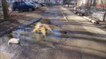 15419704333650.mp4