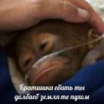 1542540602612.jpg