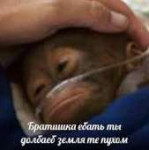 43uy3948.jpg