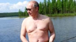 цветочный путин.webm