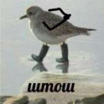 15408731123860.jpg