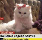 1543759248006.jpeg