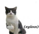 wgUeklZPwto.jpg
