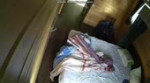  .webm