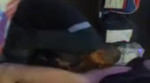 15442696417060.webm