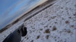 VID20181212115652943.mp4