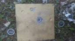 DSC1208.JPG