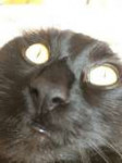 B408B1B0-0223-4CF6-844A-7865A66AF6E2.png