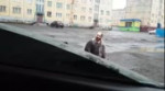45.webm