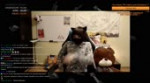xxx.mp4