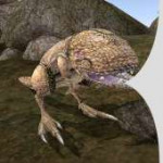 guar.png