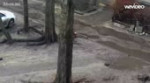 перекат.webm