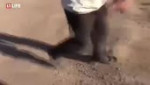 15499512229821.mp4