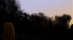 15493960591540.webm