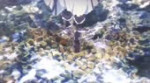 В.Э.webm