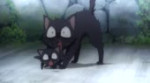 15326959562650.webm