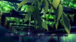 1553276482089.webm