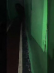 dogBetrayal.webm