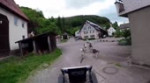 Собачьяупряжка.webm