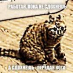 macros.jpg