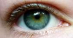 centralheterochromiabysoxi19-d306ewb.jpg
