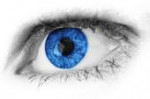 blueeyes.jpg