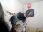 webcam-toy-photo2 (1).jpg