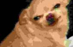1561271957609.jpeg