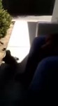 14669625350121.webm