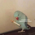bmqrJwKKqzw.jpg