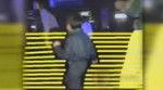 15386055081430.webm