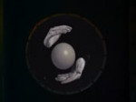 15636100335700.webm