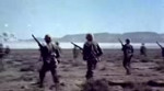 15642966175870.webm
