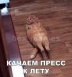 Pb2WNrbOK7A.jpg