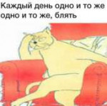15643527894790.jpg