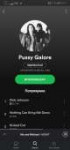 Screenshot20190811055731com.spotify.music.jpg