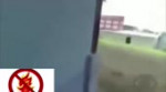 набег.webm