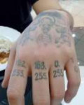 15323722518840.jpg