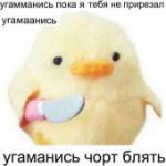 15669074051041.jpg