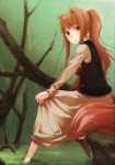 Wolf-with-pony-tail-holo-the-wise-wolf-21301890-453-640.jpg