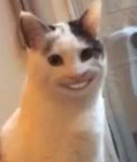 15389240096780.jpg
