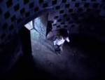videoplayback.mp4