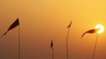 Beyond illusion.webm