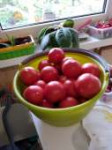 IMG-20190910-WA0008.jpg