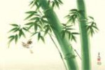 back - Traditional Japanese music.jpg